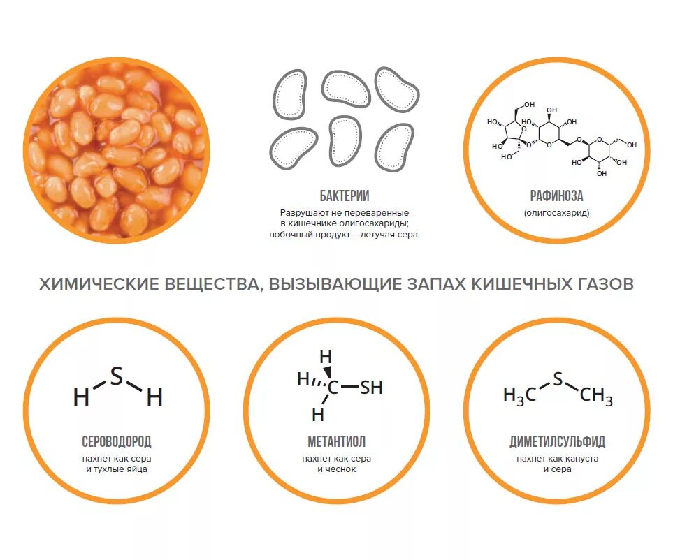 Вонючие газы. Запах газов из кишечника. Сладкий запах газов из кишечника причины. Сладкий запах газов из кишечника. Запах газов из кишечника сероводород.