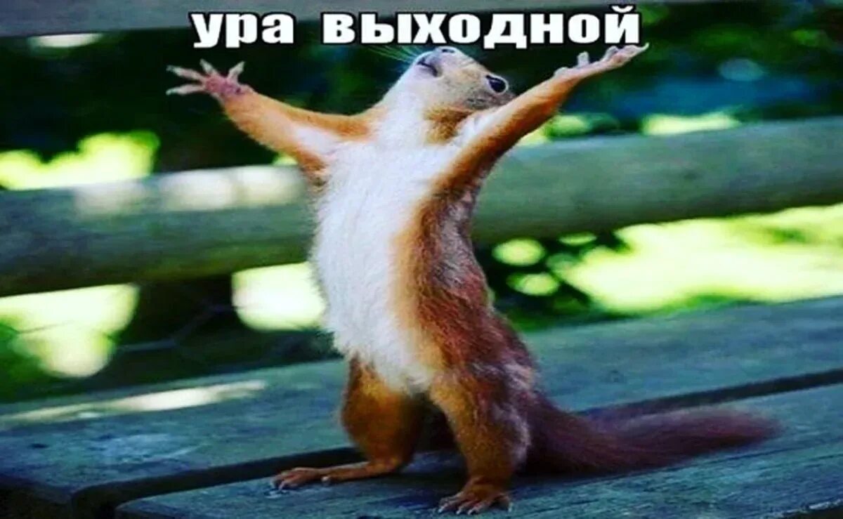 Ура вечна. Ура вечна. Открытки с 1 мая. Ура победа. Ура вечна.