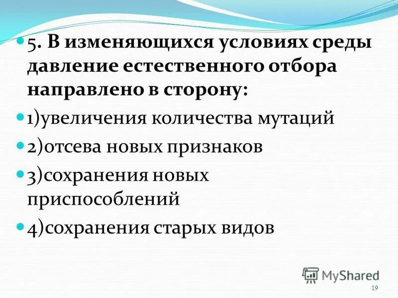 В постоянных условиях среды естественный отбор сохраняет. Механизмы эволюции. Давление отбора направлено. Давление естественного отбора. Отбор в новых условиях среды.