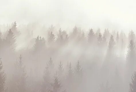 Фреска туман