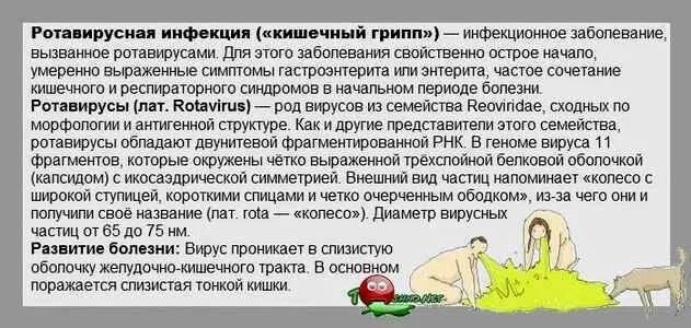 Рвота вирусная. Кишечный грипп симптомы у взрослых. ротавирусная инфекция у детей с рвотой. рвота при ротавирусной инфекции у детей.