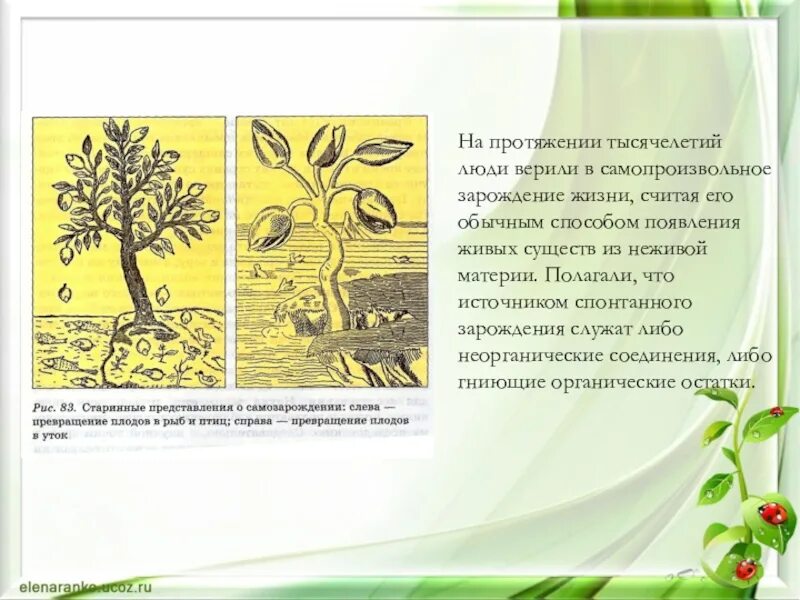 Гипотеза живое из неживого. Теория самопроизвольного зарождения жизни. Гипотеза самопроизвольного зарождения. Теория самозарождения жизни. Самопроизвольное Зарождение жизни из неживой материи;.