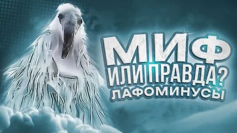Лафара 2027