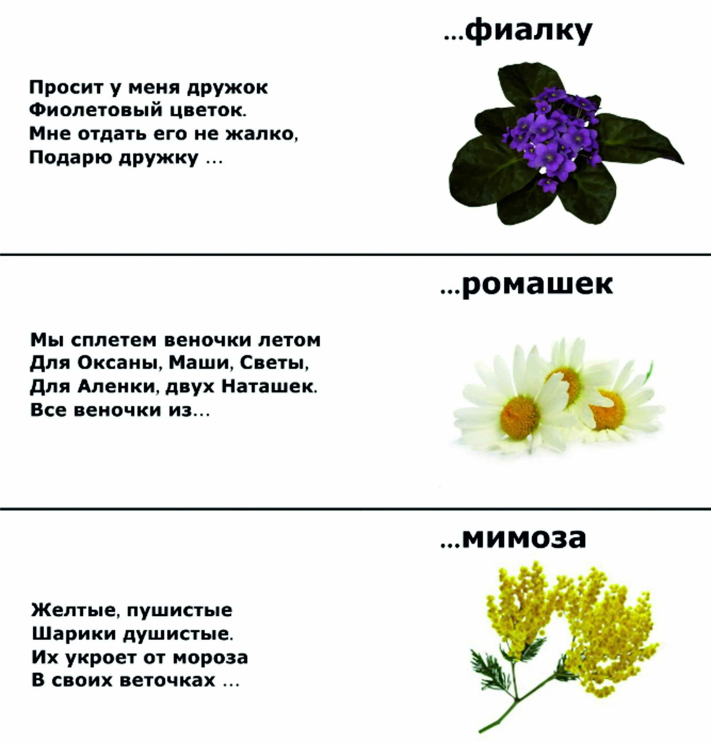 Про цветы для детей 5 лет. Загадки про цветы. Загадки про цветы для детей. Загадки про растения для детей. Цвета в загадках.