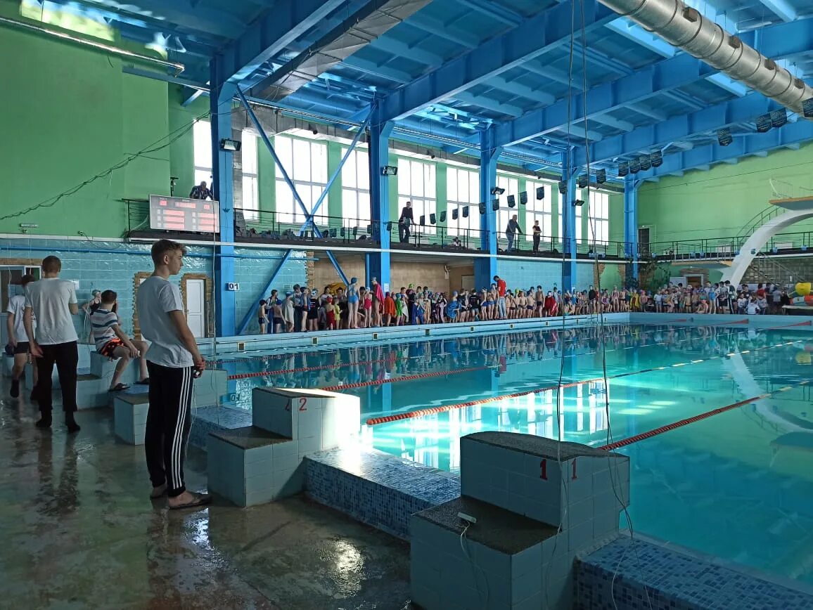 Бассейн амфибия барнаул южный. Бассейн амфибия барнаул. Амфибия бассейн новосибирск. Магис спорт на взлетной бассейн. Амфибия бассейн барнаул.