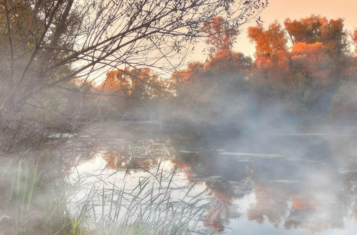 Над рекой туман сизый дым. Туманы осенью плывут. Заря на реке. Туманное озеро. Реченька туманная.
