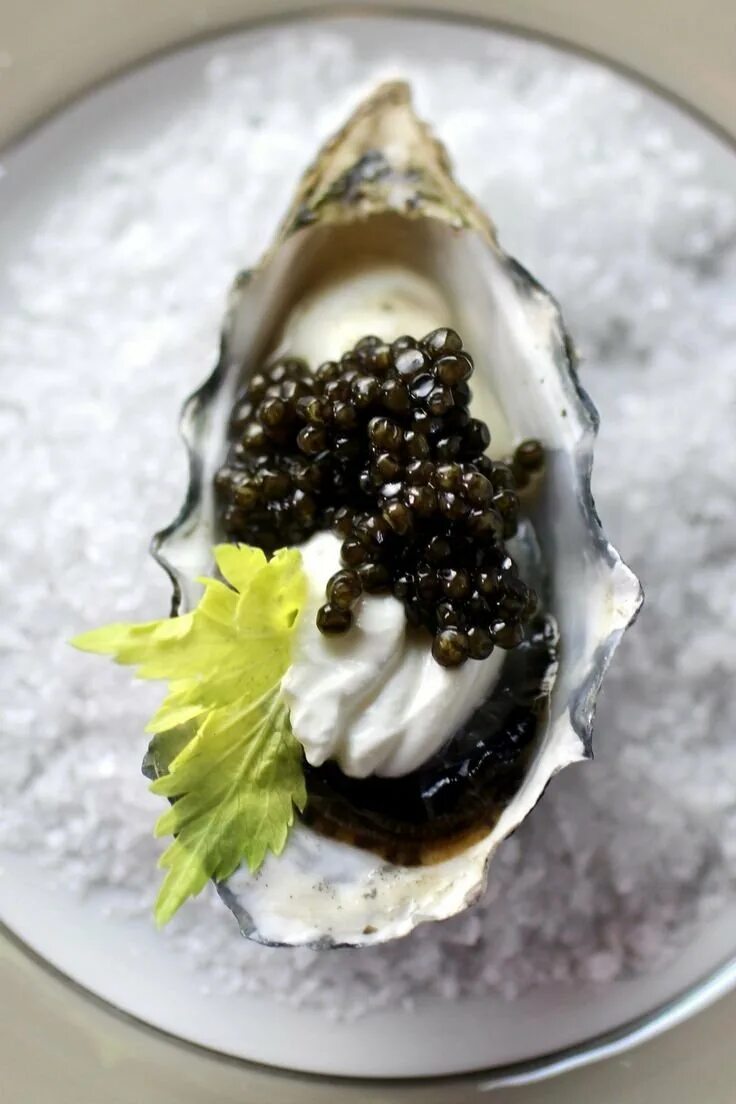 Caviar икра. Черная икра. Пищевые добавки черная икра. Ложка с черной икрой хорошее качество. Черная икра.