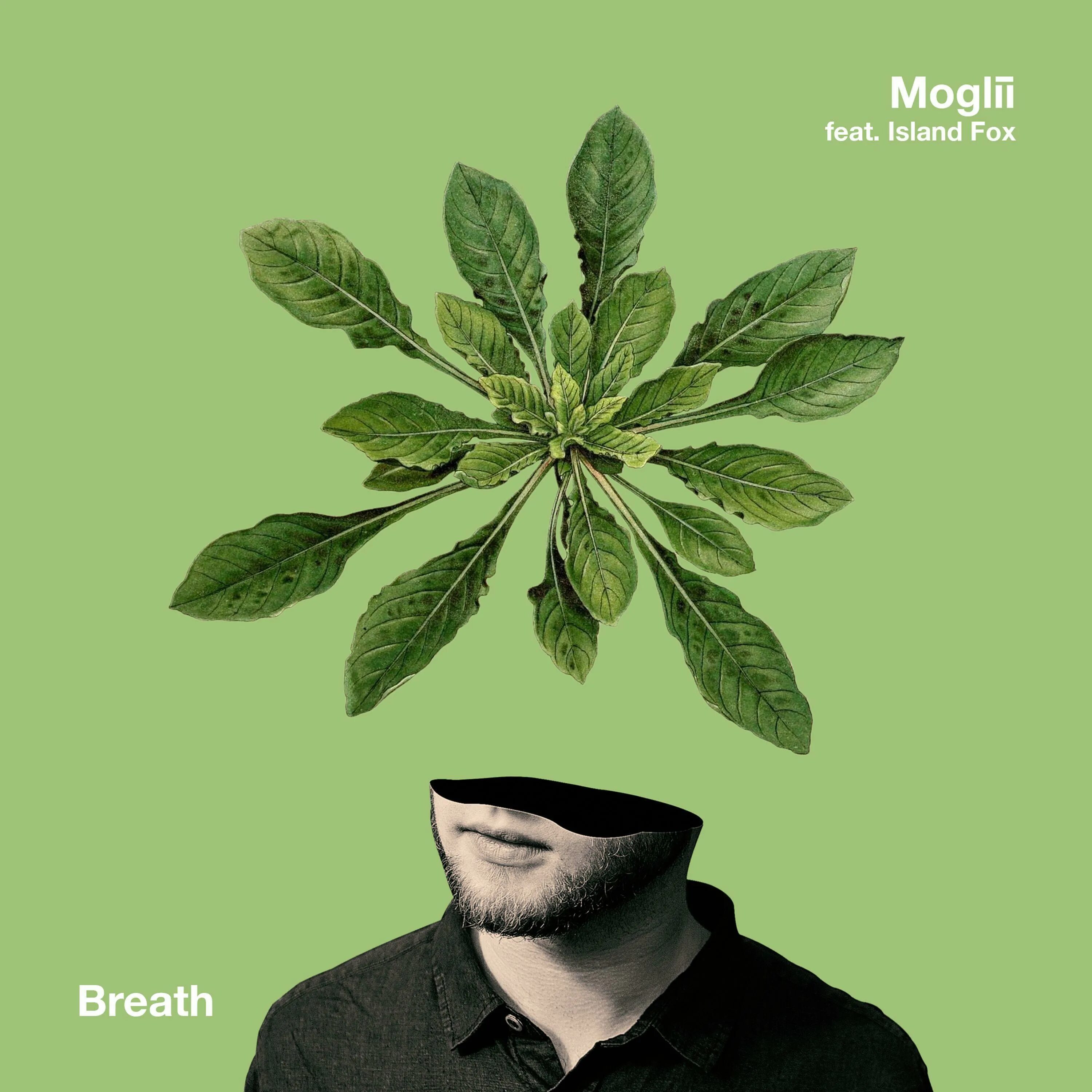 "Moglii" && ( исполнитель | группа | музыка | Music | Band | artist ) && (фото | photo). Loner Fox. Moglii исполнитель что поёт. Sustinere Island - ft. COLINJAY. Island feat