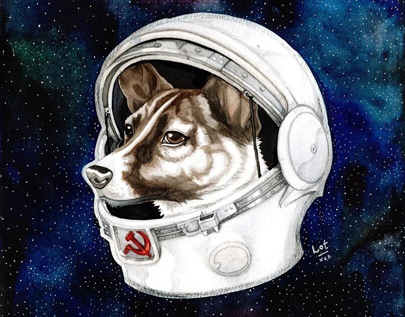Белка и стрелка рисунок для детей. Космическая собака. Животные космонавты. Собаки космонавты. Собака в скафандре.
