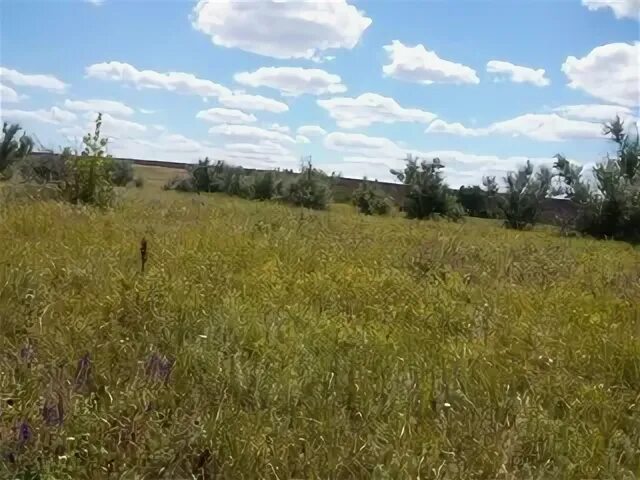 Грибовский лес. Михеево (Раменский район). Морозово Раменский район. Земельные участки в деревне Коробово Раменский район. КП Морозово Раменский район.