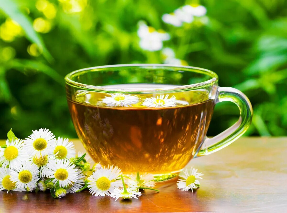 Ромашка вместо чая. Чай "Ромашка". Зеленый чай. Травяной чай Ромашка. Травяной чай в чашке.