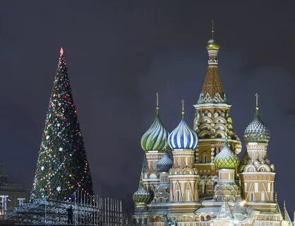 Russia, Moscow, Kremlin, St. Vasiliy Cathedral and New Year tree.