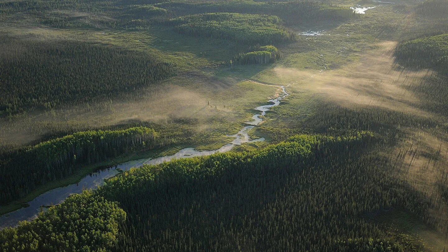 Западная Сибирь река Васюган. Река Васюган Томская область. Река Маккензи Канада. Тайга Васюган.