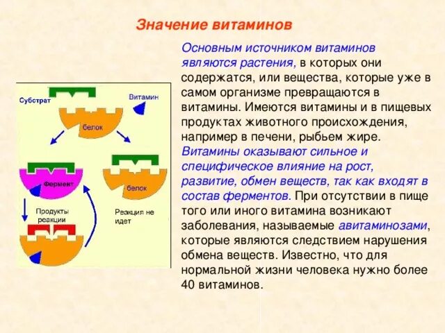 Витамина и их значение проект Значение витаминов в организме человека online presentation
