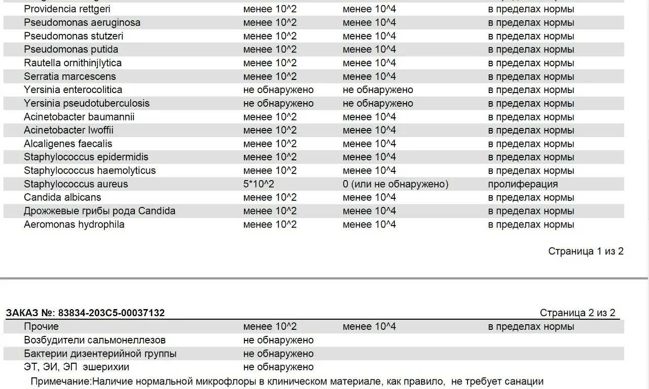 Pseudomonas aeruginosa показатели нормы. Pseudomonas aeruginosa норма. Pseudomonas aeruginosa норма у детей. Pseudomonas aeruginosa в норме сколько. 5 10 3 в анализах