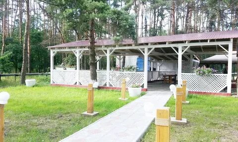 Сосновый бор курск