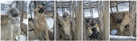 Право на жизнь котлас