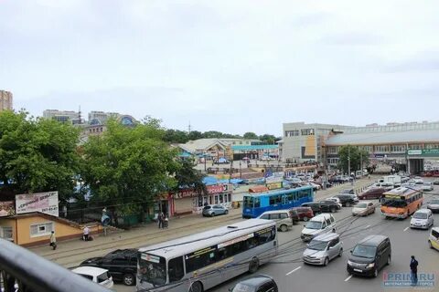 Владивосток луговая