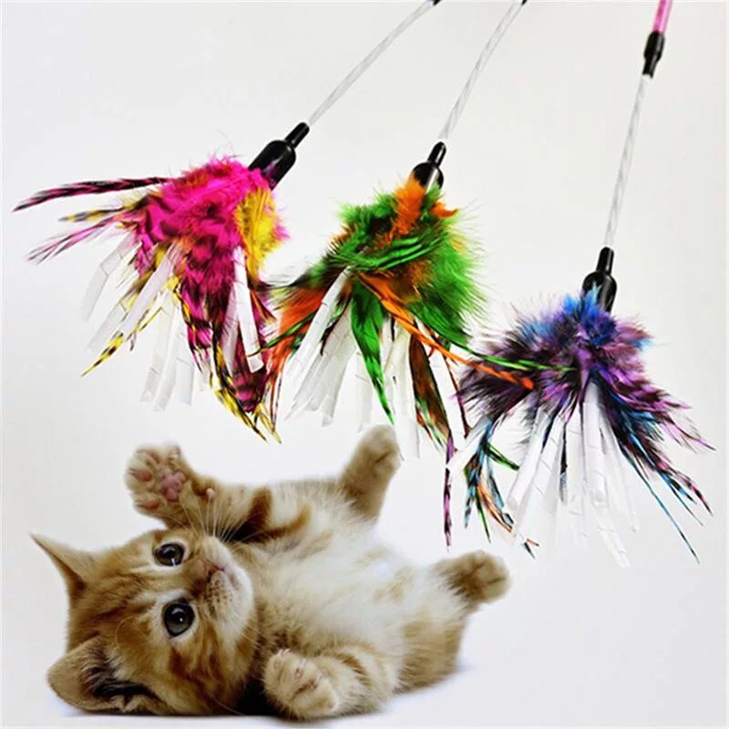 Игрушки для кошек с перьями. Кошачья игрушка с перьями. Игрушка для котов с перьями. Палочка с перьями для кота. Электрическая игрушка для кошки.