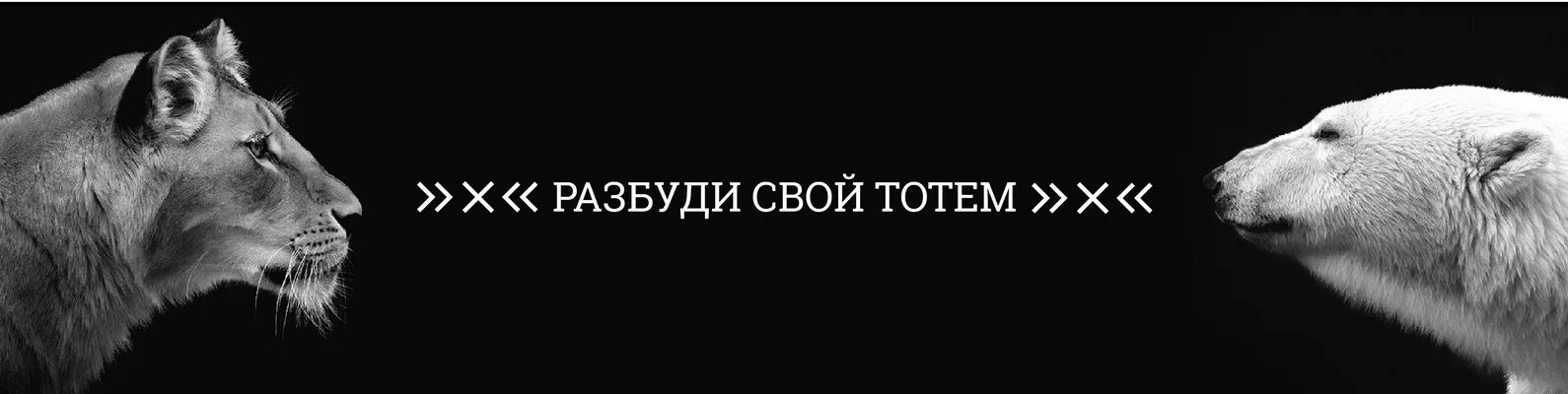 Мем тотем. Животное силы. тотем силы. тотем мем. тотемное животное мем.