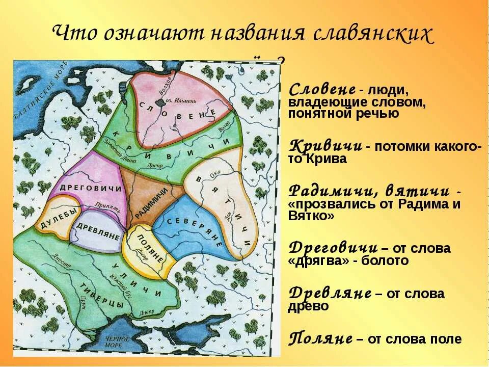 Кривичи история племени. Поляне древляне дреговичи радимичи Вятичи Кривичи. Вятичи Кривичи Поляне древляне. Древляне дреговичи Поляне Вятичи радимичи это. Кривичи Поляне древляне дреговичи.