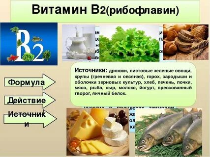 В каких продуктах есть б 2