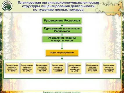 Лесная охрана полномочия