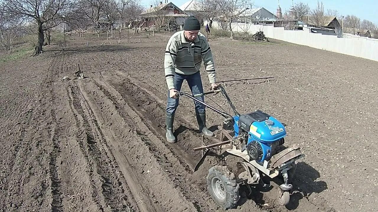 Как садить картошку под мотоблок