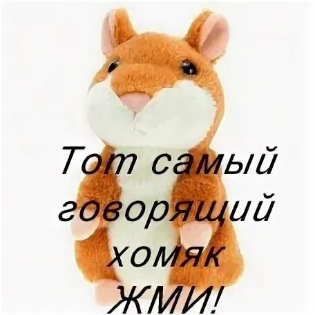 Крутой хомяк. Боевой хомяк. Хомяк за компьютером. Компьютерный хомяк. Жми на хомяка.
