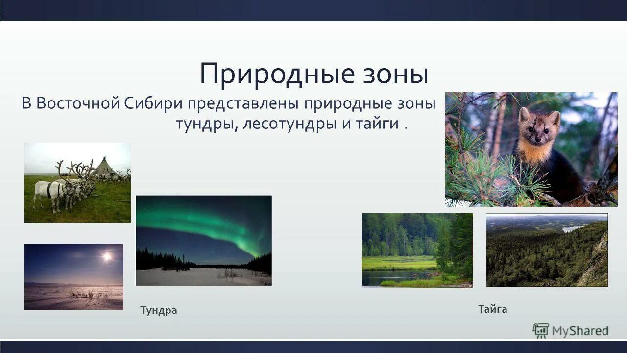 природные зоны восточной сибири схема. восточно-сибирский экономический район климат. природные зоны северо восточной сибири. восточная сибирь природные зоны. восточно-сибирский экономический район климат.