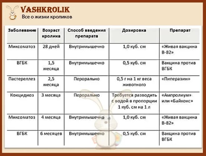 Первая прививка котенку возраст. Прививки котятам график. График прививок для кошек до года. График прививок для котят. График вакцинации котят до года.