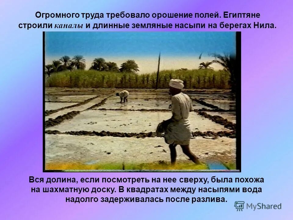 орошение полей у берегов. орошение полей в древнем египте. орошение полей у берегов. орошение полей у берегов. орошение полей у берегов.