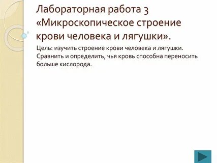 Лабораторная работа микроскопическое строение