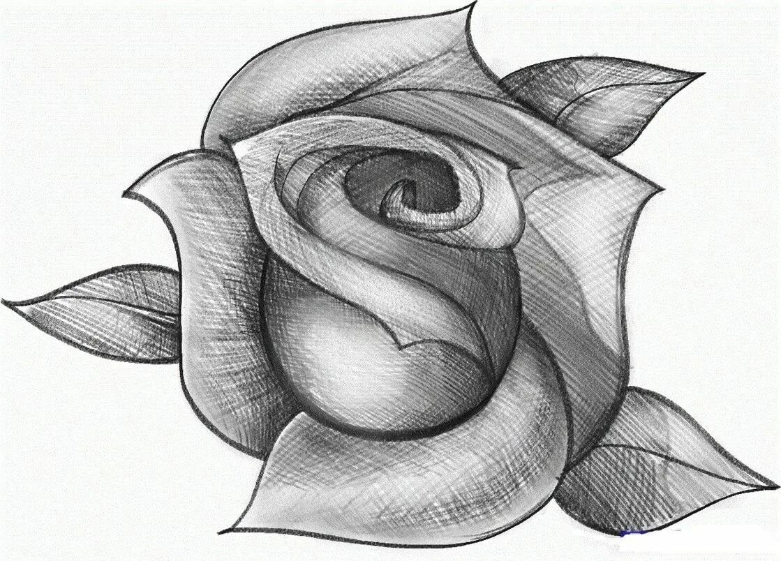 Картинки для срисовки легкие. Красивые рисунки карандашом. Роза рисунок. Эскиз розы карандашом. Красивые и простые рисунки.