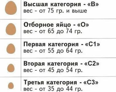 Масса 4 куриных яиц