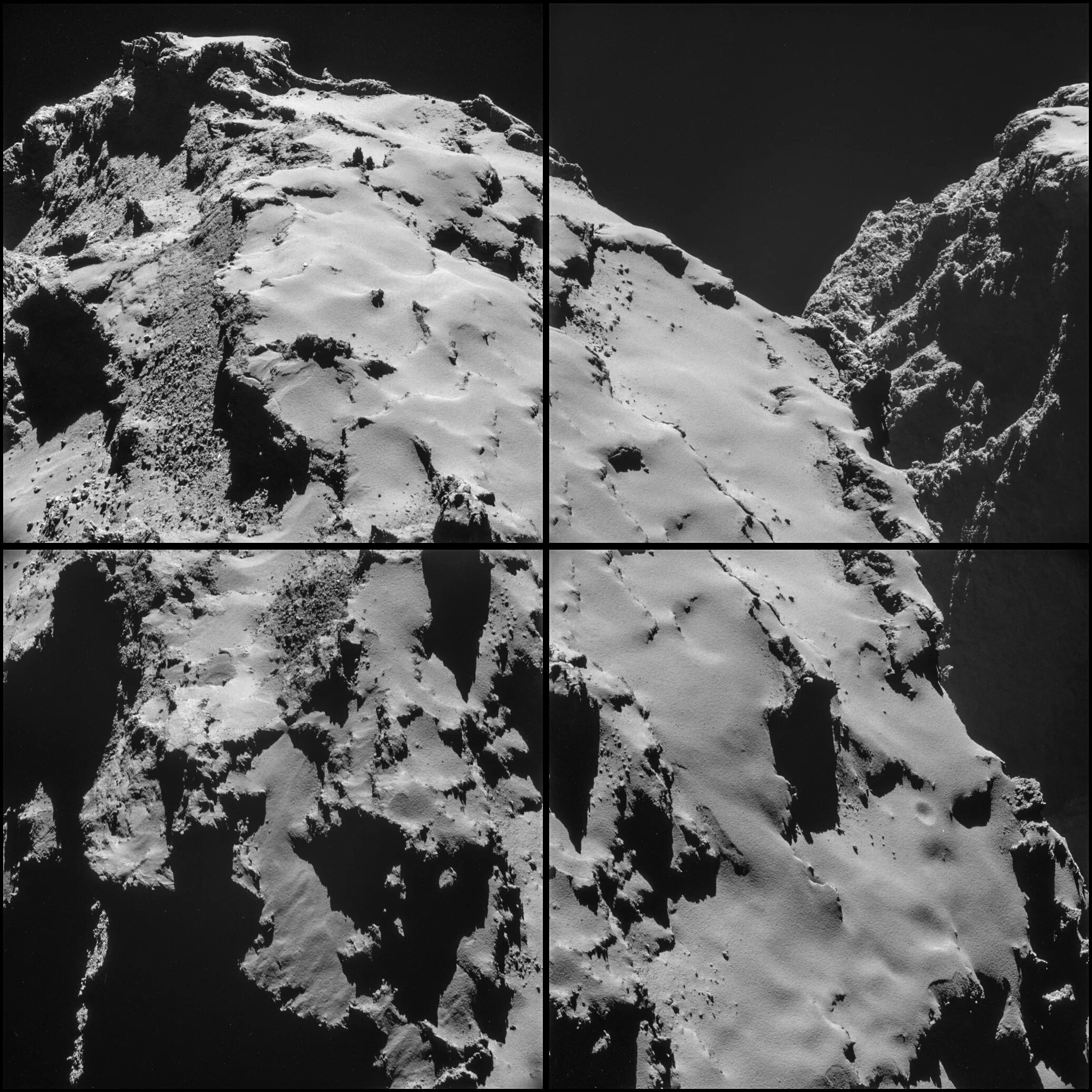 Rosetta once human