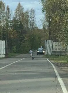 Чп детка