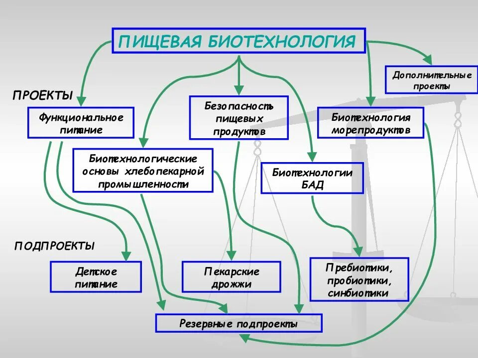 Биотехнология проект. Направления биотехнологии. Пищевая биотехнология. Пищевая биотехнология презентация. Виды биотехнологии.