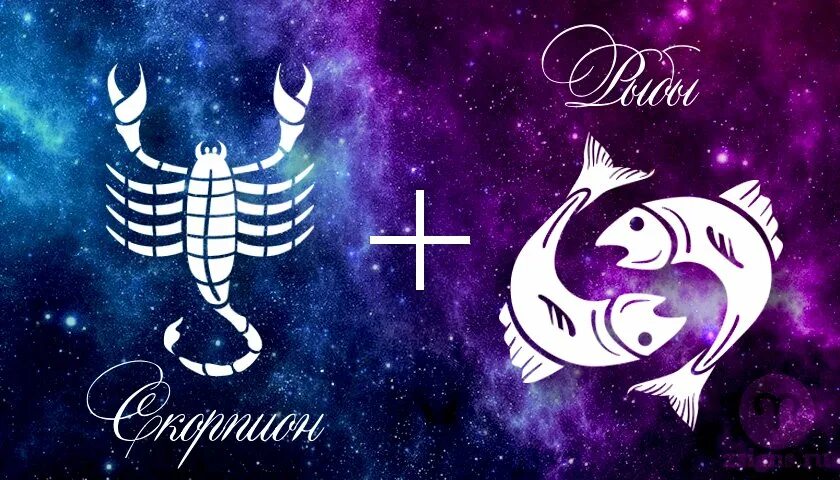 Знак зодиака рыбы женщина. Рыбы+рак совместительность. Мужчина Скорпион и женщина рыбы. Скорпион и рыбы совместимость.