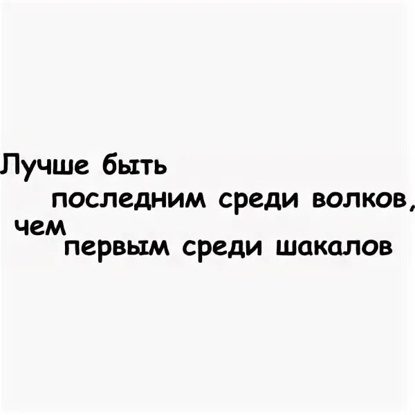 Первый среди последних текст. Лучше быть последним среди Волков. Лучше быть волком среди шакалов чем. Лучшие быть последним среди Волков чем первым среди шакалов. Цитата лучше быть последним среди Волков чем первым среди шакалов.