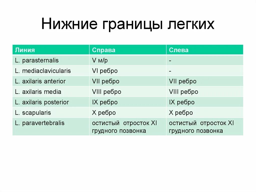 Передняя граница легких. Нижние границы легких в норме таблица. Нижние границы левого легкого в норме. Топографическая перкуссия легких норма таблица. Нижняя граница легкого в норме.