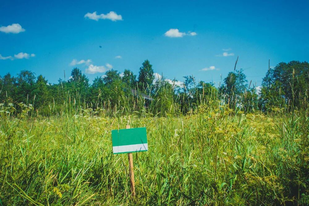 Деревня никитилово ленинградская область всеволожский район. Массив агалатово снт `ника`. Участки всеволожский р н. Ленинградская область, всеволожский район, деревня матокса. Деревня лехтуси ленинградская область всеволожский район.