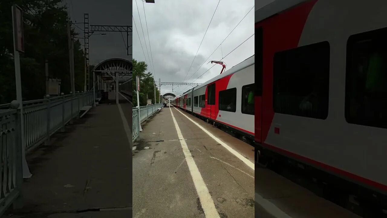 Москва воронеж жд ласточка. Ласточка поезд. электричка ласточка. новая электричка ласточка. ласточка поезд на юг.