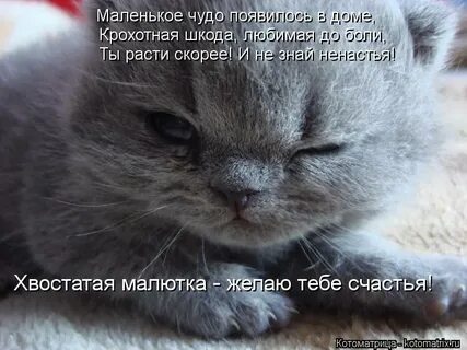 Появилось чудо