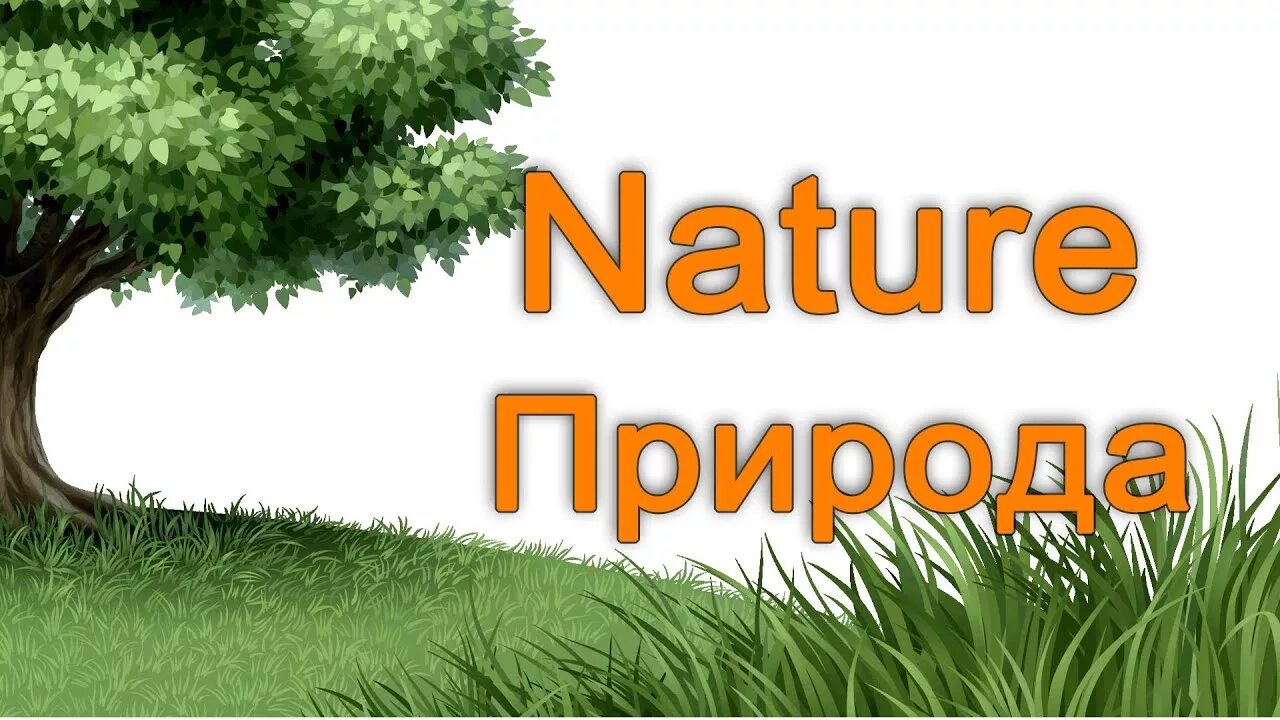 Nature на английском
