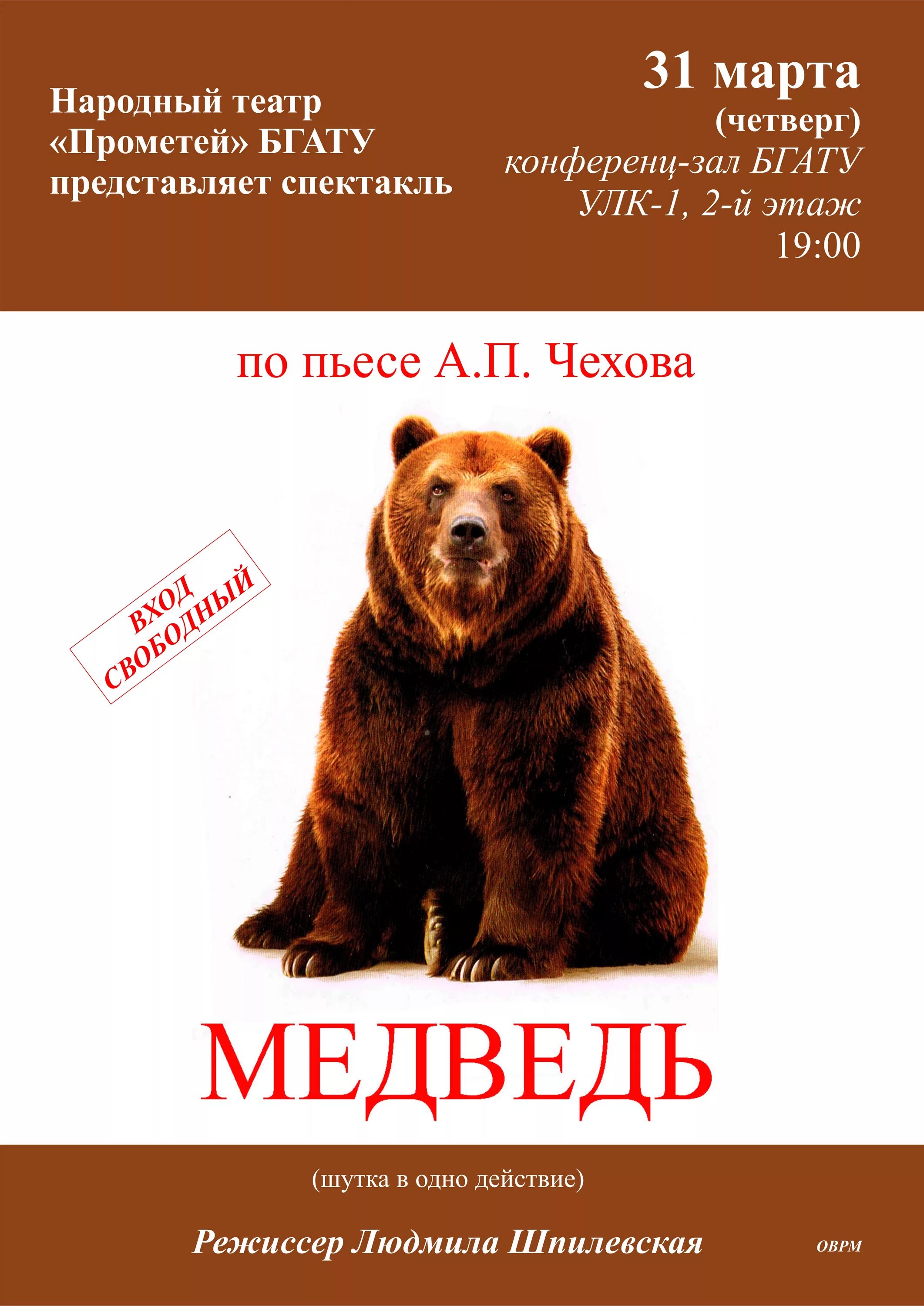 Я медведь афиша