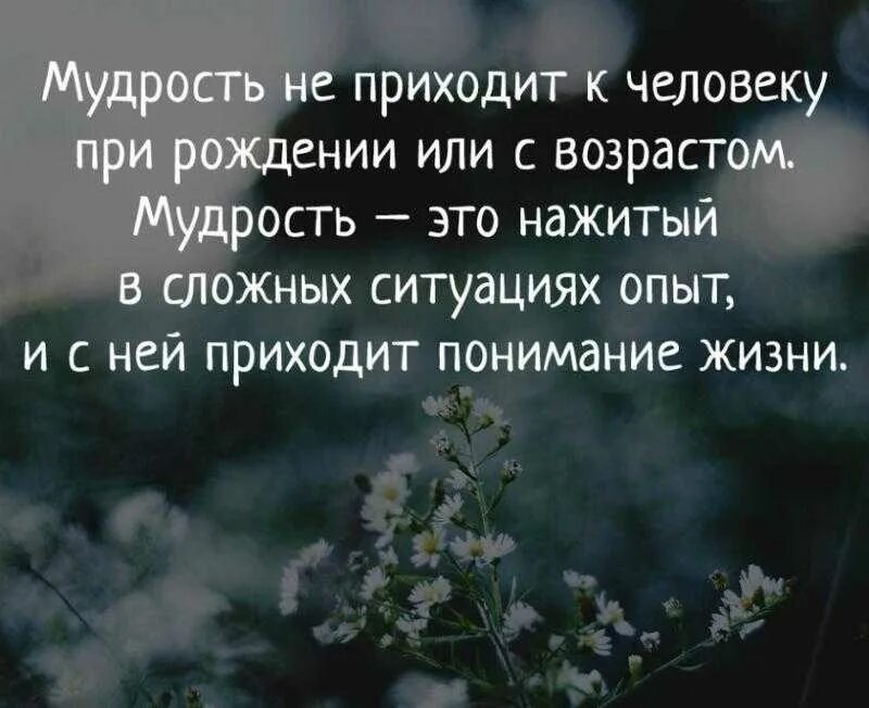 Мудрость. Мудрость жизни. Мудрость цитаты. Мудрость приходит с опытом. Мудрость жизни просто