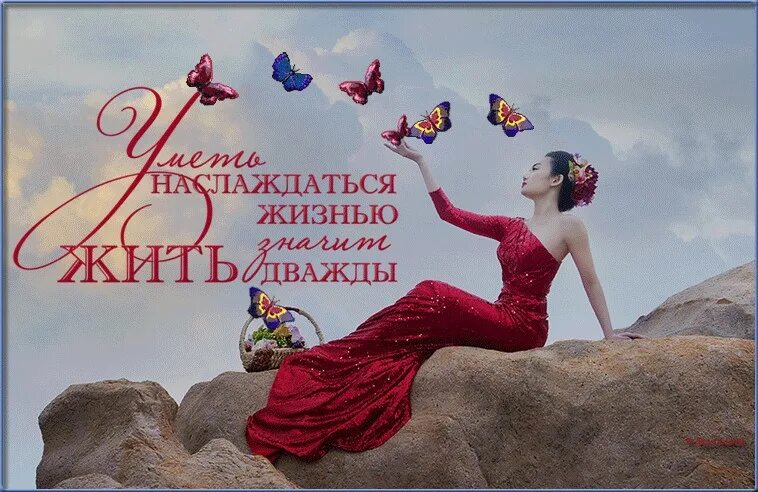 Наслаждаться жизнью цитаты. Жить и наслаждаться жизнью. живи и наслаждайся жизнью. жизнь прекрасна. открытки наслаждаться жизнью.