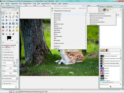 Бесплатные программы gimp