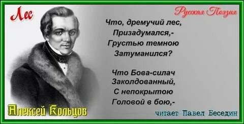 Грустью темной или темною затуманился